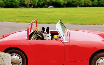 Austin Healey Mrk1