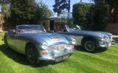 Austin Healey BJ8