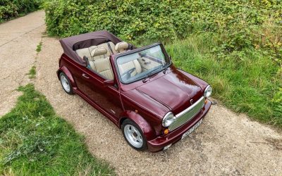 Lamm Mini Convertible