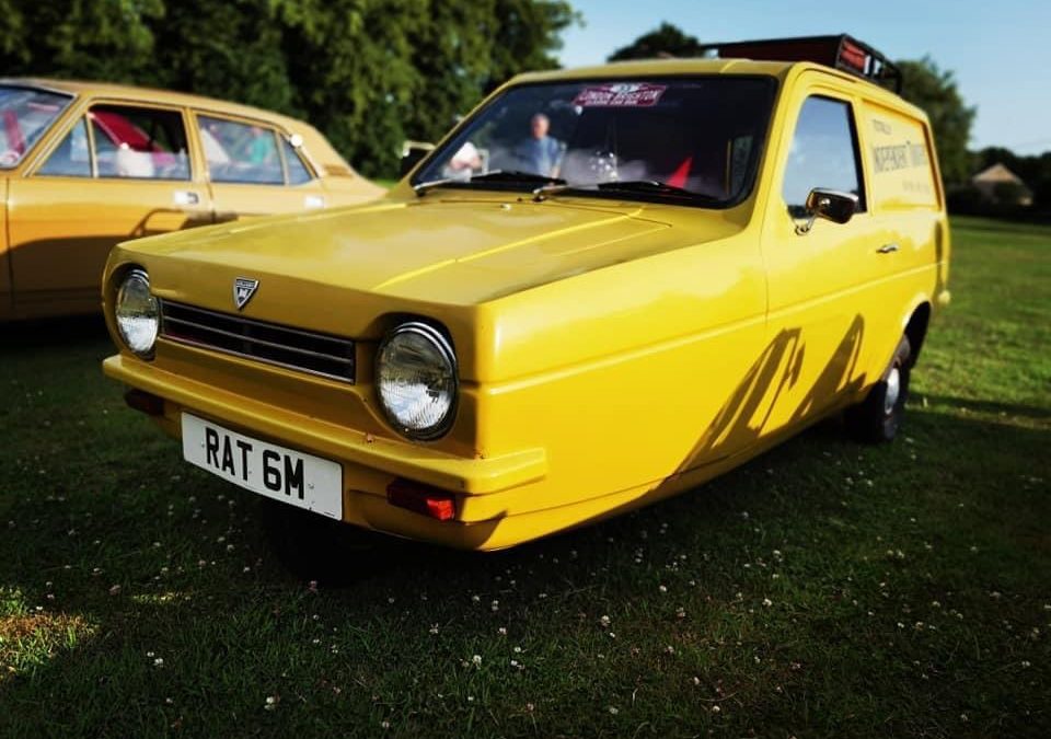 Reliant Robin Van